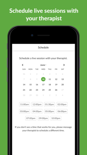 BetterHelp session interface, on iPhone.